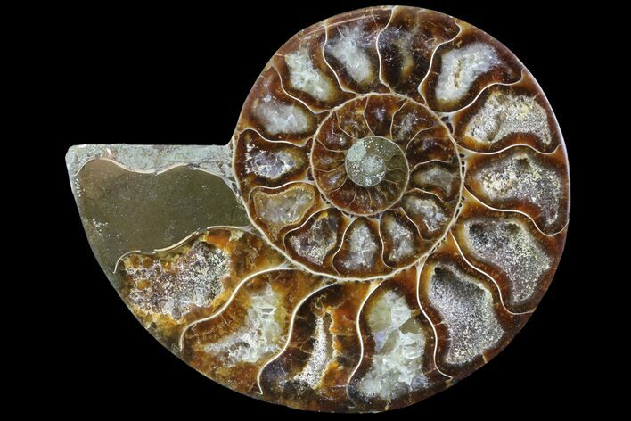 Agatized Ammonite Fossil (Half) - Madagascar #83866